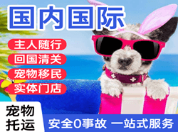 宁远机场快运国际宠物托运 【国